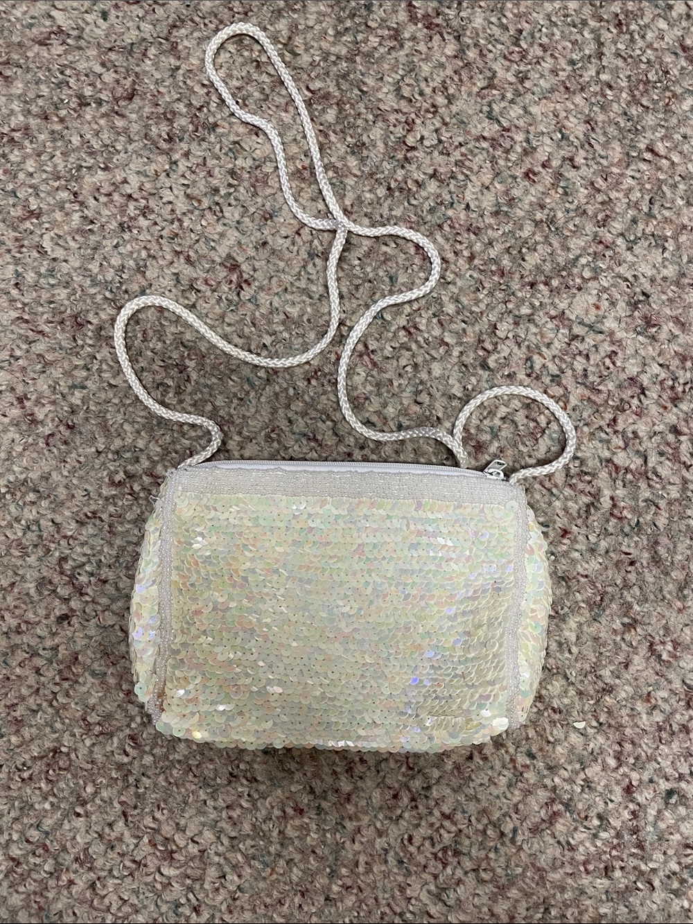 Vintage Iridescent Sequin beaded Crossbody Bag - Women